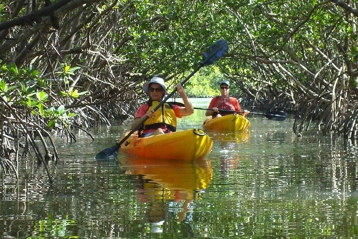 Half Day Kayak or SUP Rental (3hr) - Bunche Beach - Photo 1 of 10